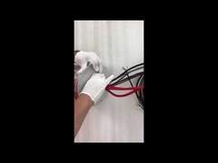 Anillo colector Ethernet ECN000-21P-06S-01EG